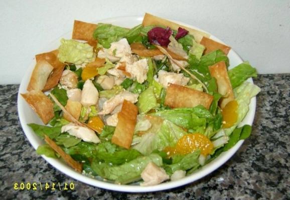 won ton salade