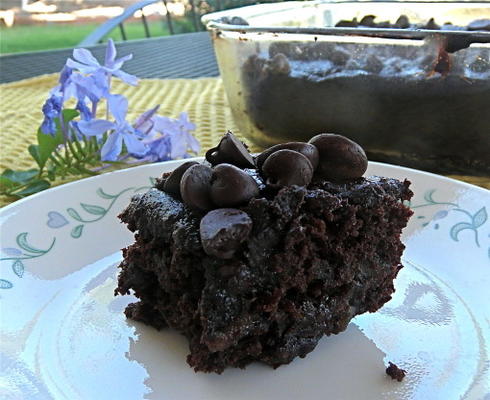 allergie vriendelijke dubbele chocolade brownies