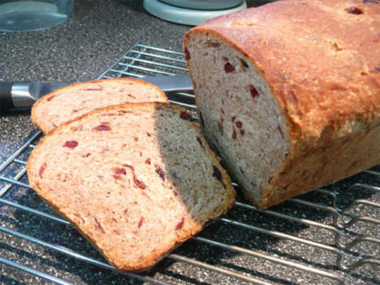 rogge met gedroogde veenbessen en geroosterde pecannoten (a-b-m deegcyclus)