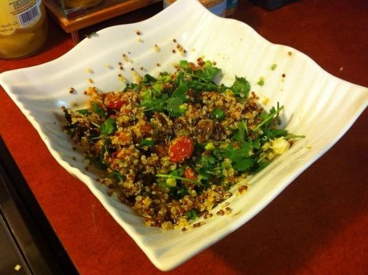 markeer bittman's qunioa salade met tempeh