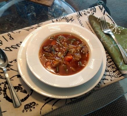 Vegetarische kool Groentesoep