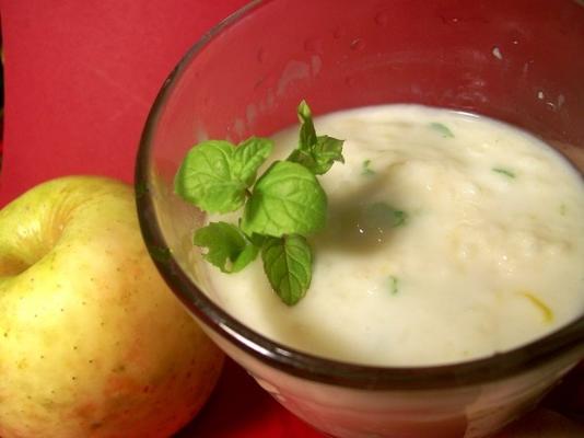 salsa met appelmuntyoghurt