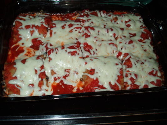 lasagne rolt met zwarte bonen en spinazie