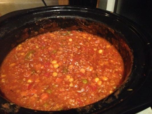 rundergehakt en veggie soep / crock pot