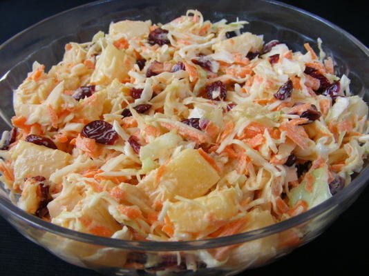 cole slaw van de pelgrim