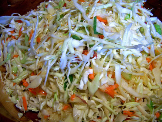 tropische koolsla