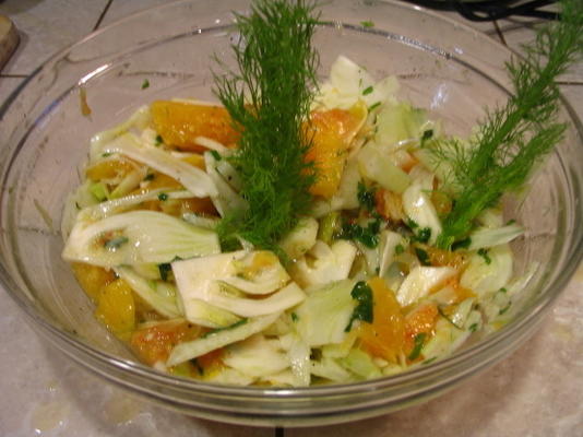 bloedsinaasappel en venkel salade