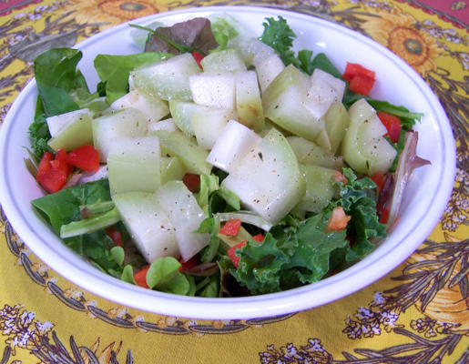 Cubaanse chayote salade