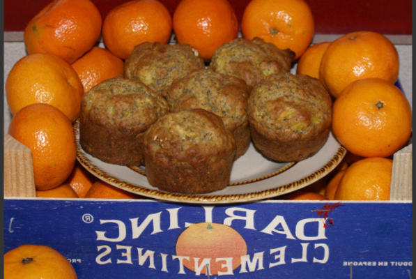 clementine maanzaad muffins