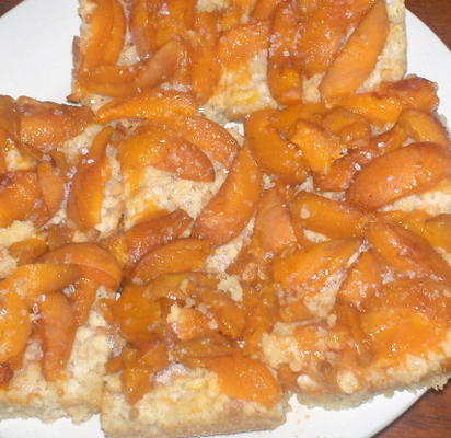 abrikozen crumble vierkanten