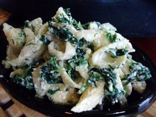 pasta en spinazie met ricotta en kruiden