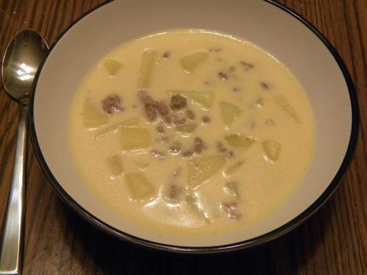 cheesy hamburger potato soup (crock pot)