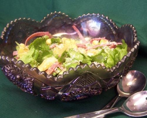 verse Italiaanse salade