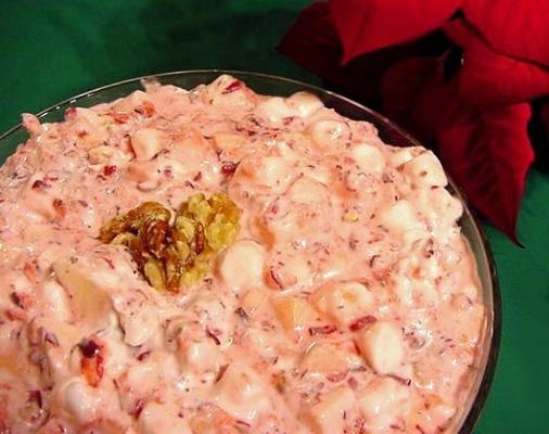 cranberry en marshmallow salade