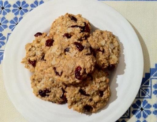 oranje crunch cookies