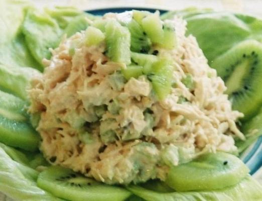 kip en kiwi salade