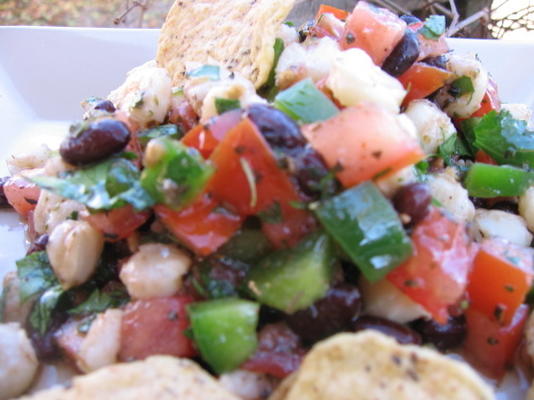 weerhaak verse salsa