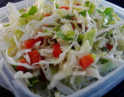 koriander en jalapeno koolsalade