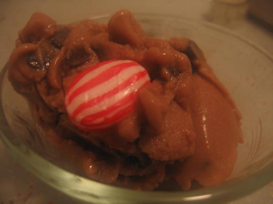 veganistisch pepermuntchocoladechips bevroren dessert