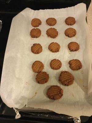 chewy havermout chocolate chip cookies (geen eieren)
