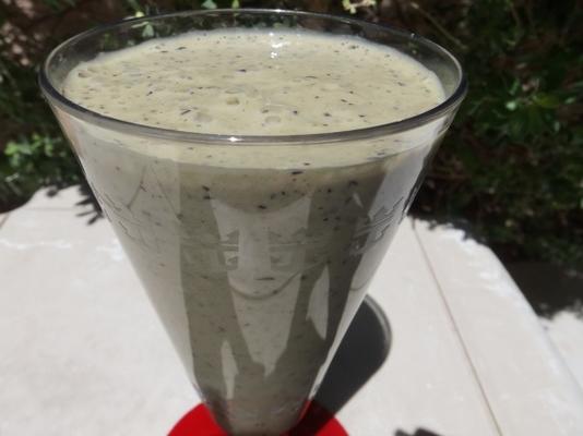 paarse mensen feeder smoothie