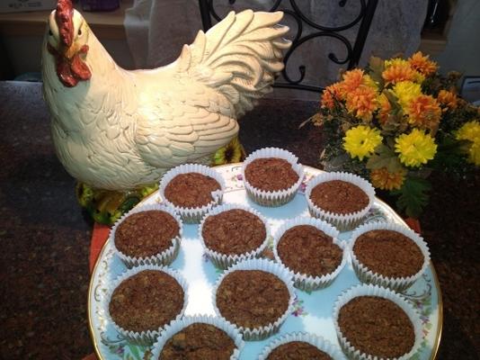 glutenvrije appelmoes rozijnenpuddingmuffins