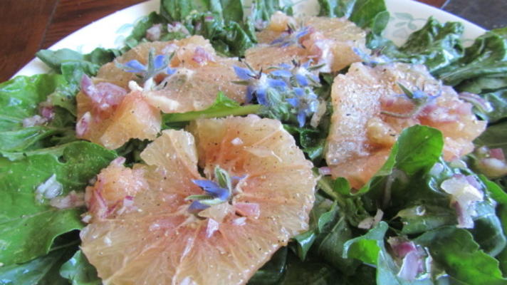 groene zomerdagbladen met roze grapefruit en borage bloemen