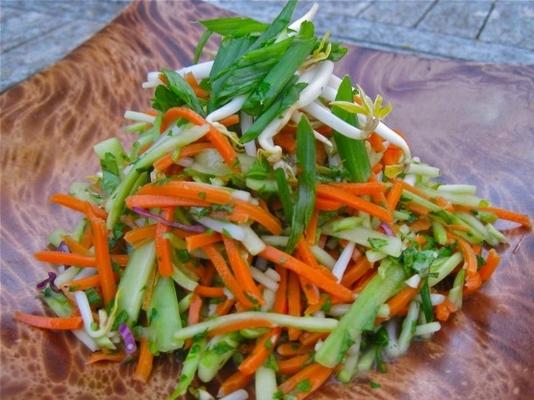 veganistische wortel broccoli en bonen shoot salade