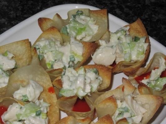 buffels kip wonton cups