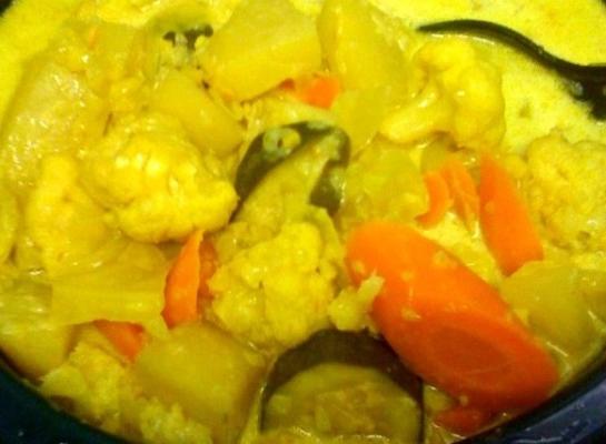 sayur lodeh - maleese groentecurry (crock pot)