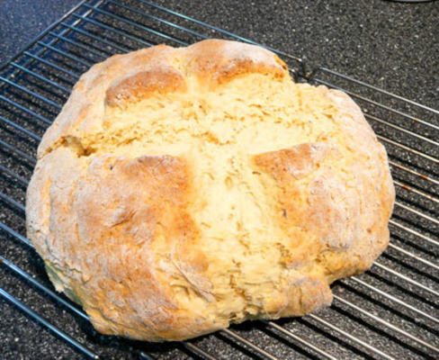 busch gardens annie grogan's iers soda brood