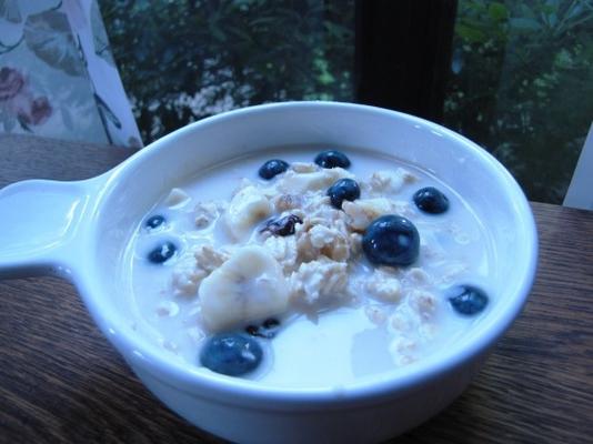 bosbessenbananenmuesli