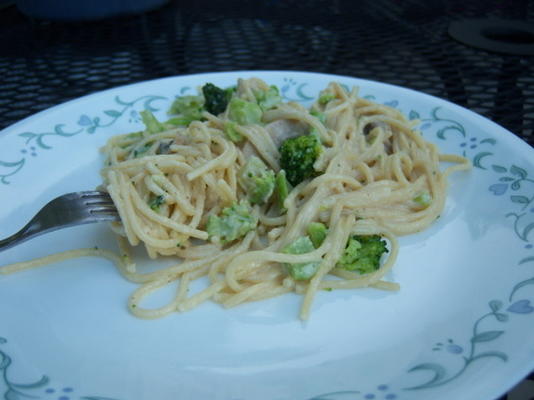 pasta con broccoli (lichter en lekker)