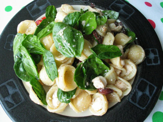 pastasalade met spinazie, olijven en mozzarella