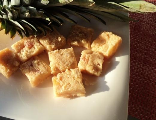 tropische fudge