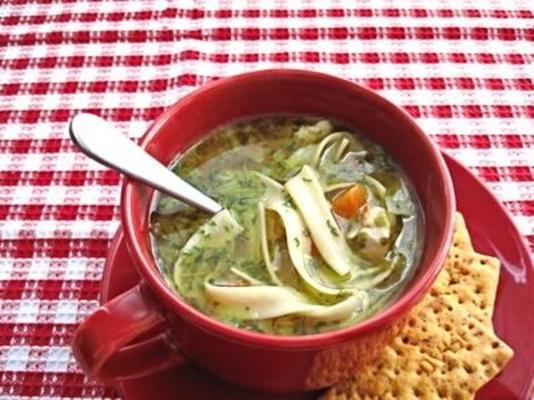 chicken noodle soup (recept van de kip)