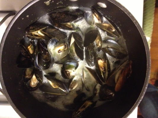 gestoomde mosselen met saus aurore