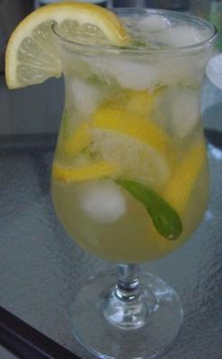 citroenverbena mojito