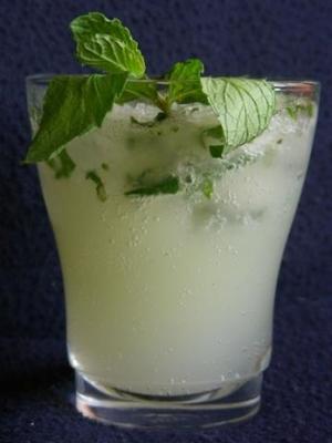 Tahitiaanse mojito's voor twee