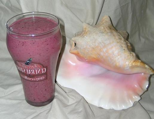 gezond fruit smoothie