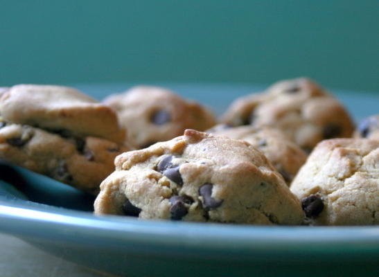 chocolade peperkoek druppels