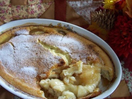 snelle, gemakkelijke appelschoenmaker