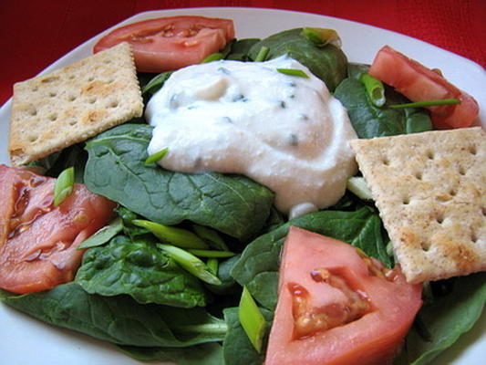 nyte's salade met laag vetgehalte van salade / aardappelsalade