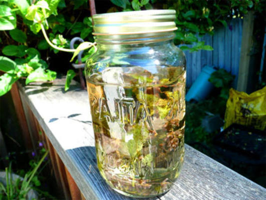 Earth's herbal sun tea