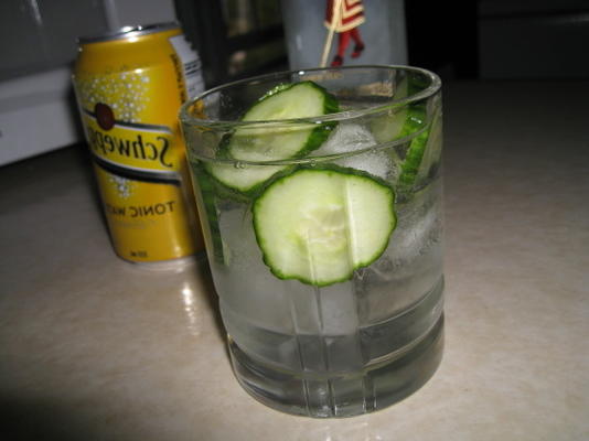 komkommer gin en tonic