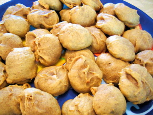 pompoen cookies gemaakt door ms. as
