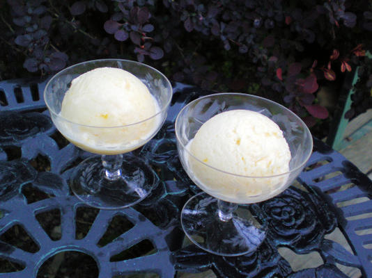 tropisch fruit bevriezen