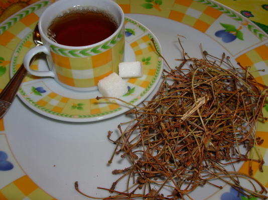 Franse kersensteel / stengel kruidenthee - tisane - infusie