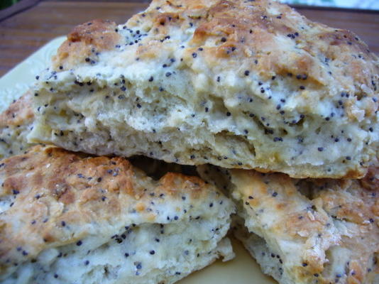 vetvrije citroensapzaad-scones