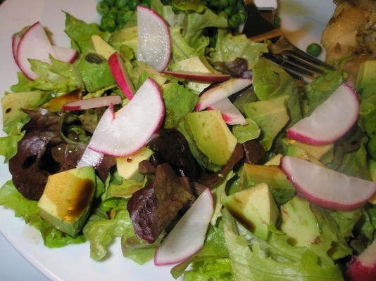 avocado radijs salade